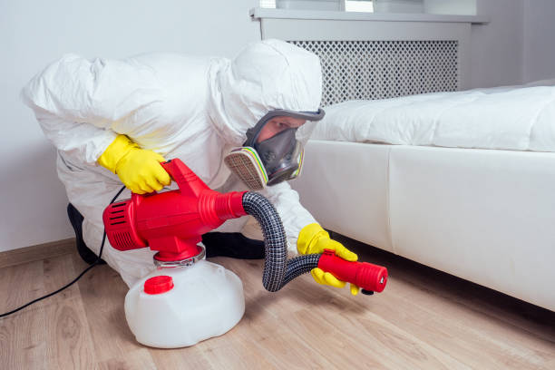 Reliable Bellevue, PA Pest Control Solutions